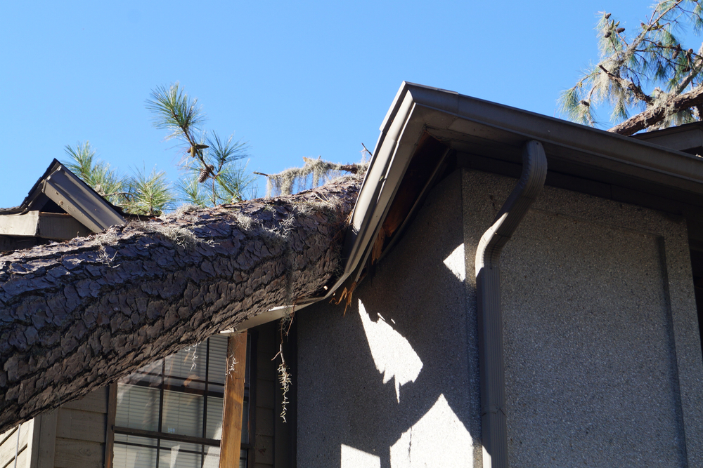 Photo of a Damaged House