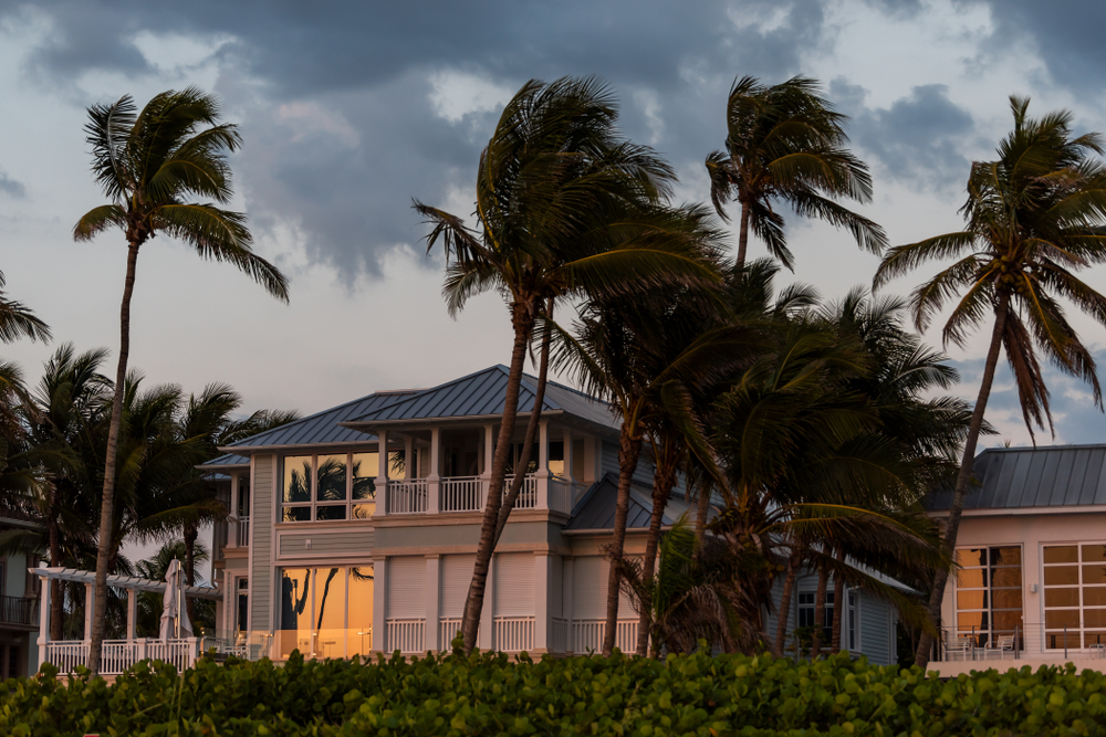 Photo of Windy Weather