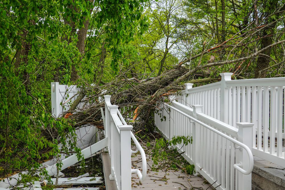 Photo of a Damaged Fence